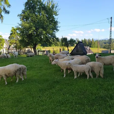 U Marii & Mariana * Leśnica