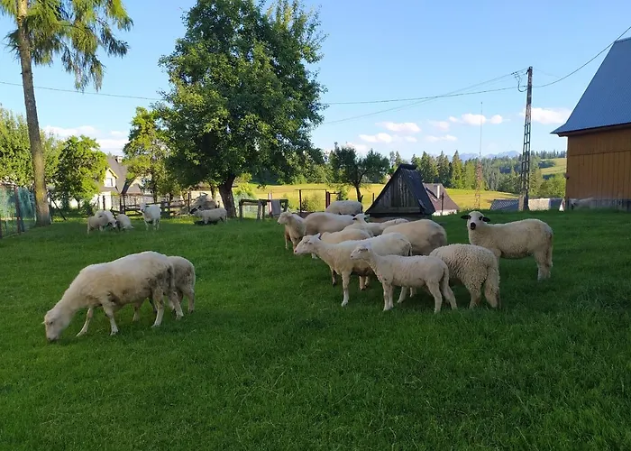U Marii & Mariana * Leśnica
